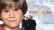 How many Home Alone movies are there?